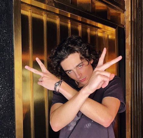 cartier panthere timothee chalamet